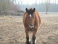 /album/topia/moments-de-detente-032-jpg/